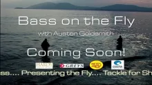 Video thumb for Fly fishing for Bass