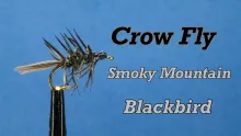 Video thumb for Crow Fly - Smoky Mountain Blackbird