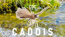 Video thumb for Spring Brown Caddis