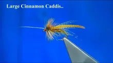 Video thumb for Large Cinnamon Caddis