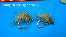 Video thumb for Salty Hedgehog Shrimp