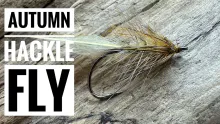 Video thumb for Autumn Hackle Fly