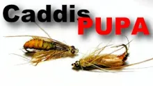 Video thumb for Caddis Pupa Variant