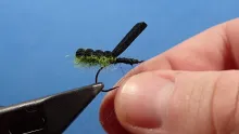 Video thumb for Swimming Caddis Pupa