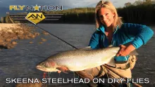 Video thumb for Skeena Steelhead on Dry Flies