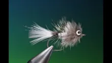 Video thumb for Grå Frede variant