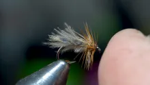 Video thumb for Feather Wing Caddis