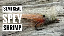 Video thumb for Semi Seal Spey Shrimp