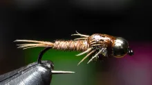 Video thumb for Bead Head Pheasant Tail