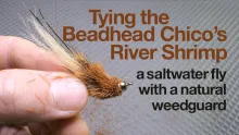 Video thumb for Beadhead Chico's River Shrimp