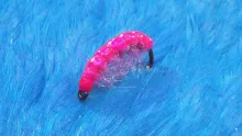 Video thumb for Flashback Pink Shrimp