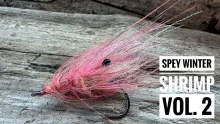 Video thumb for Spey Winter Shrimp #2