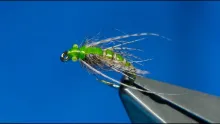 Video thumb for Caddis Pupa (Grannom)