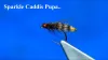 Video thumb for Sparkle Caddis Pupa