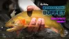 Video thumb for Cutties Crushing Big Dry Flies