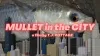 Video thumb for Flyfishing for mullet - urban flyfishing