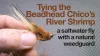 Video thumb for Beadhead Chico's River Shrimp